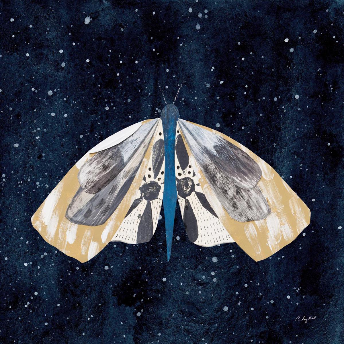 Elegant Moth, Style C