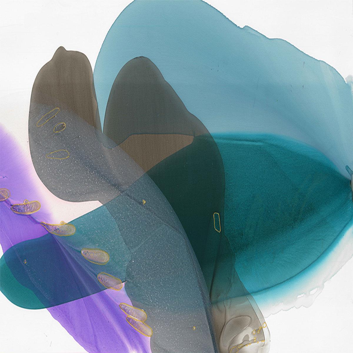 Flow of Tranquil Colors