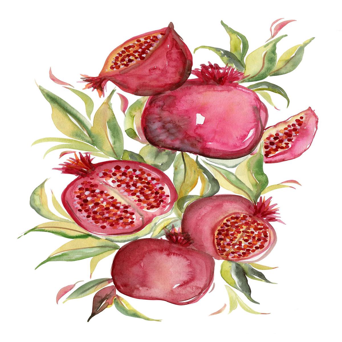 Fruit collection - Pomegranate