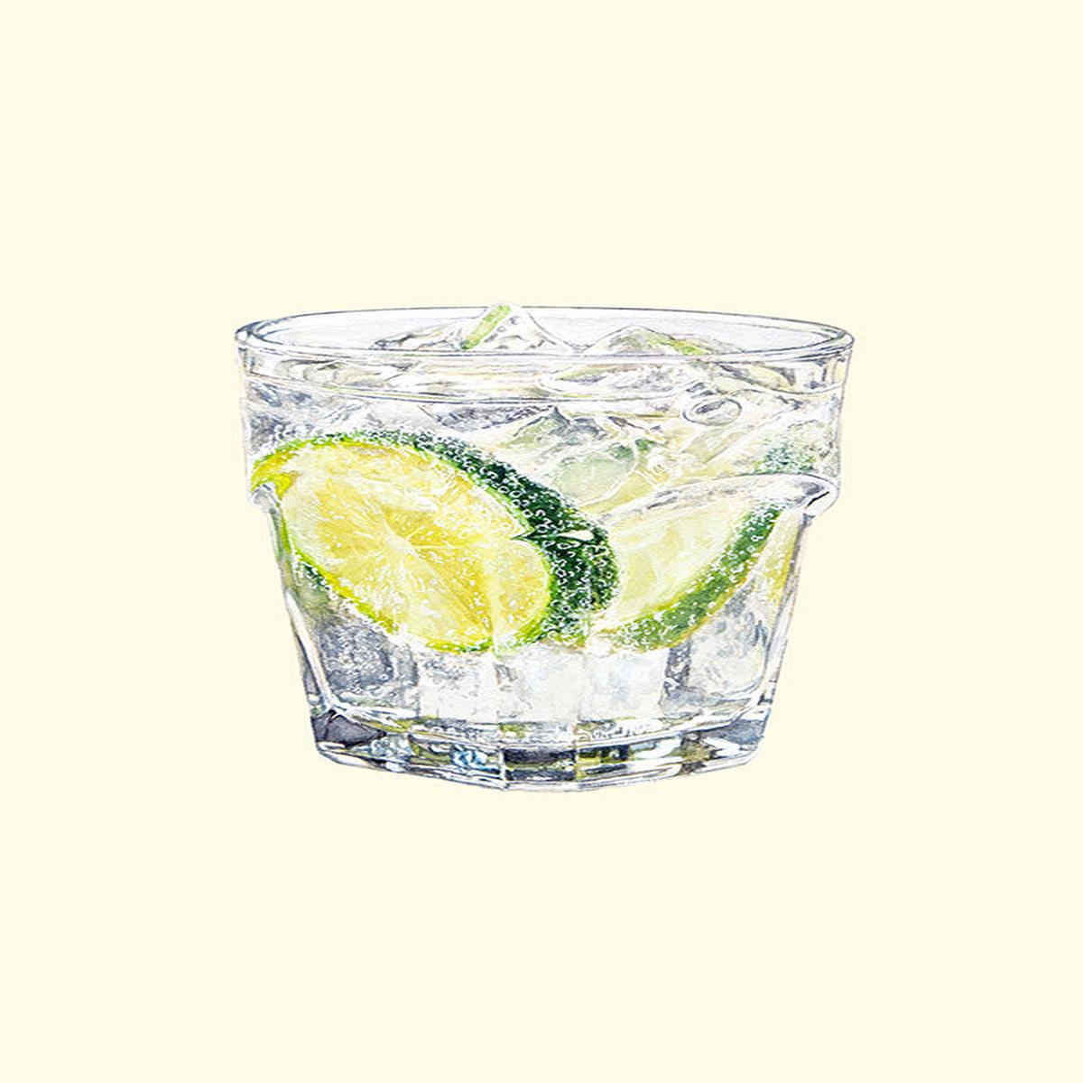Gin Tonic