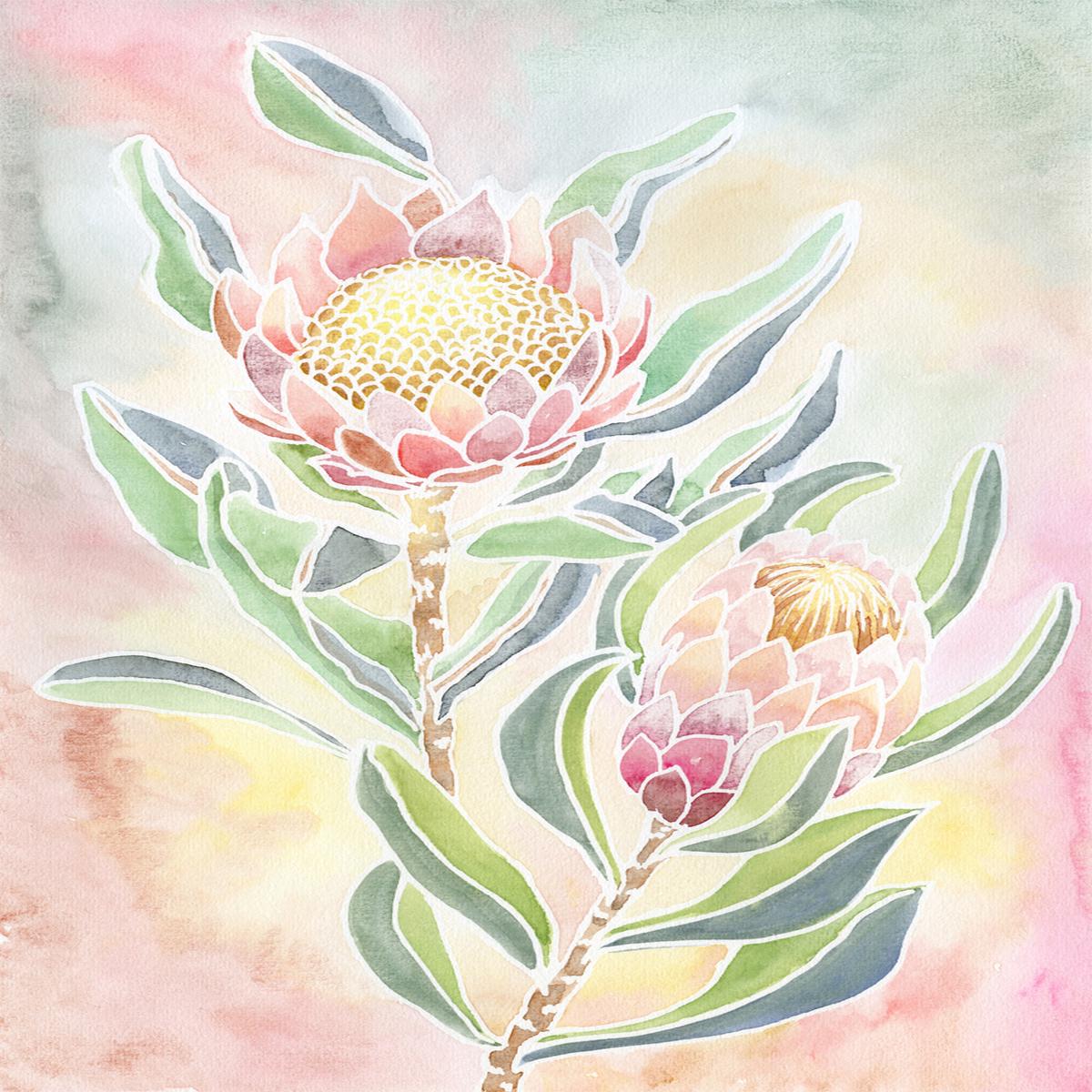 Pastel Proteas