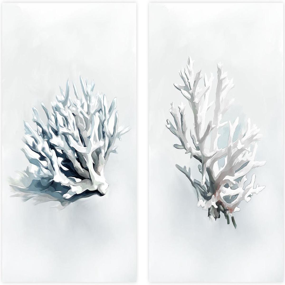 Staghorn Coral , Style A & D , Set Of 2