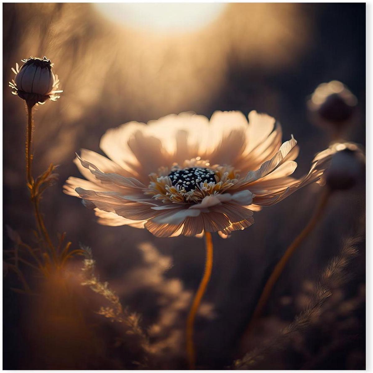 Sunlit Flower