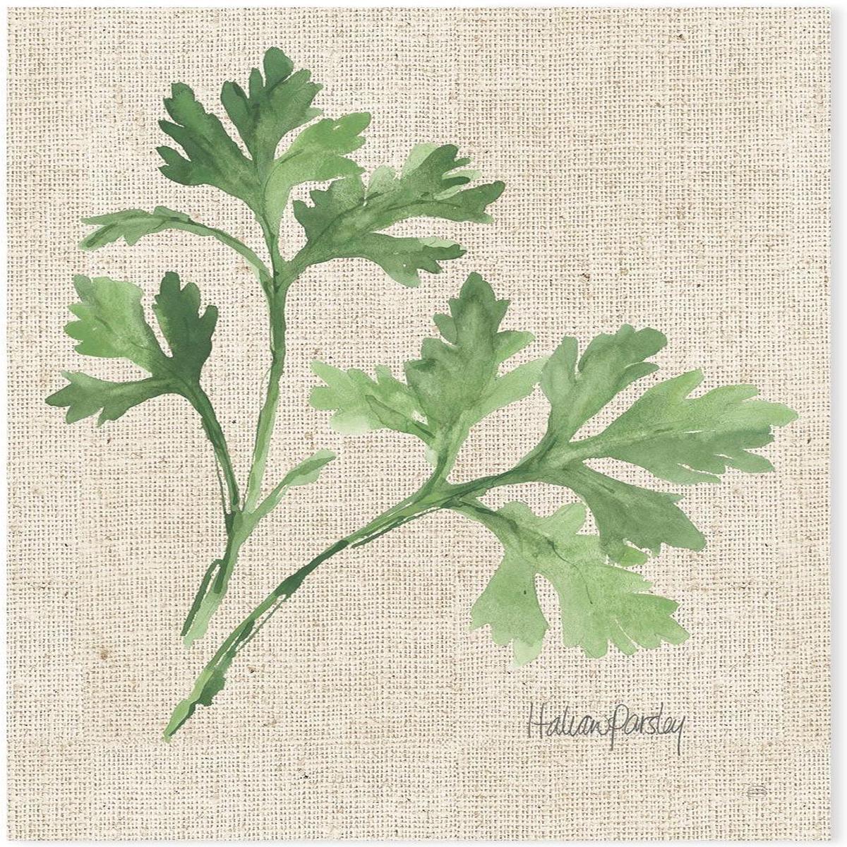 Italian Parsley