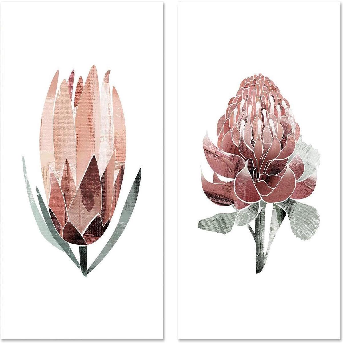 Native Protea & Waratah Pair