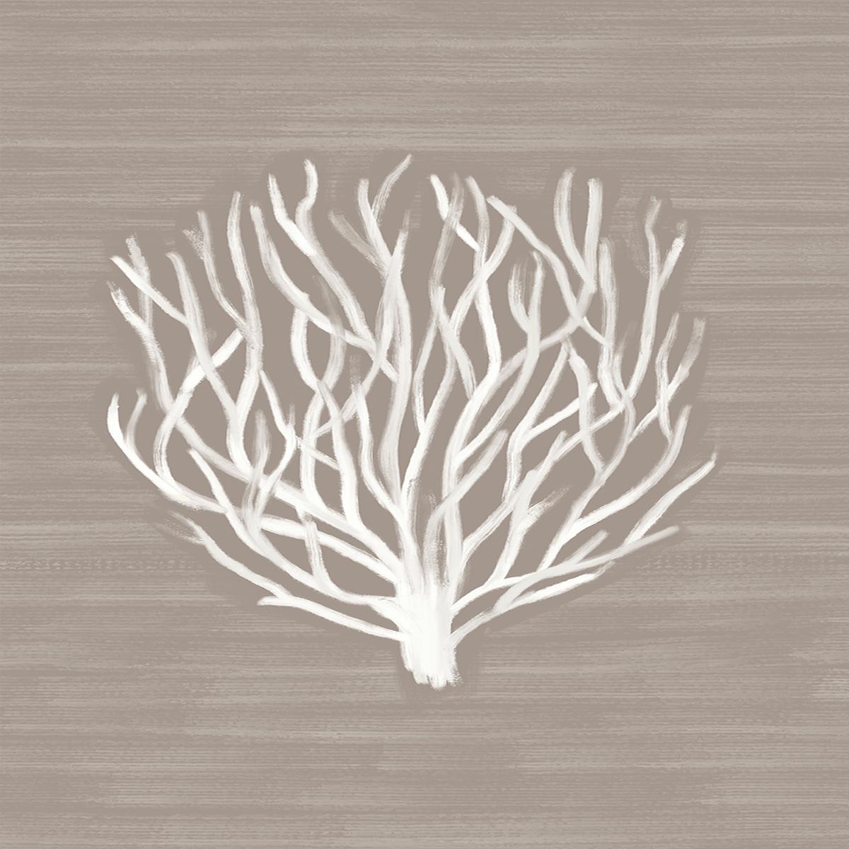 Coral Branch