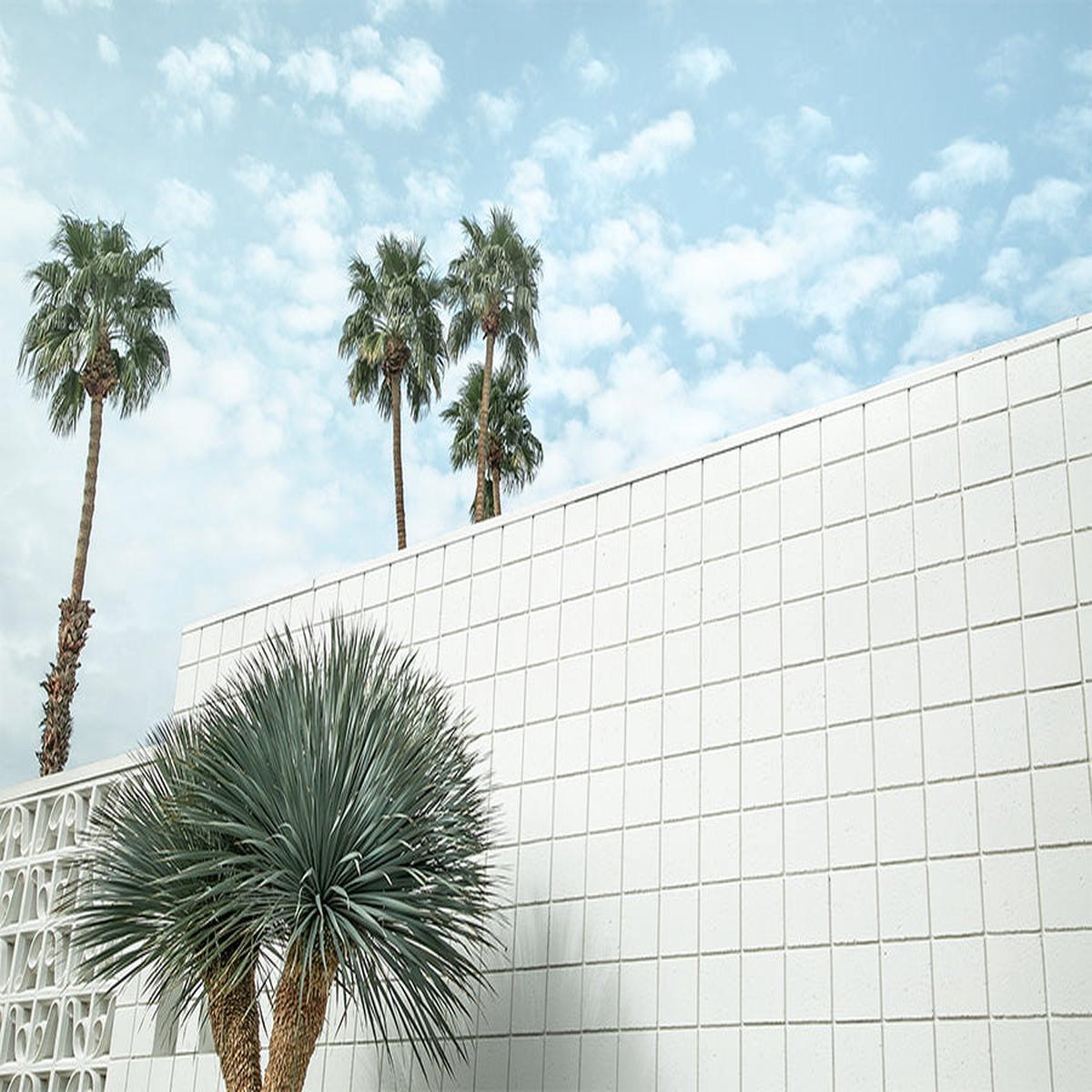 Desert Wall