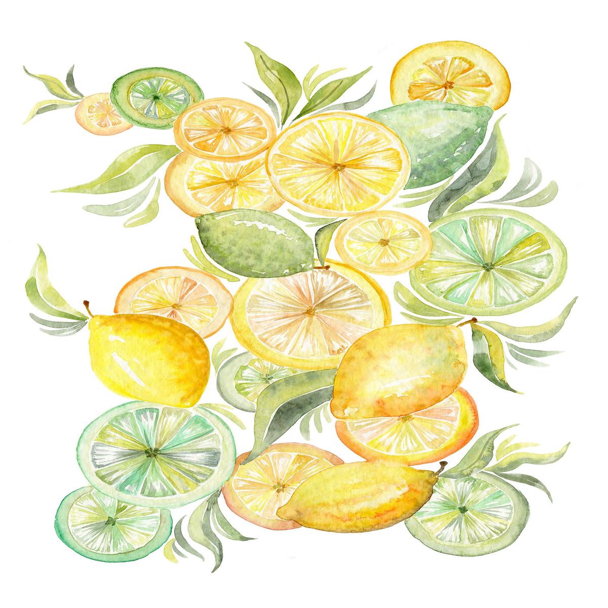 Fruit collection - lemon & Limes