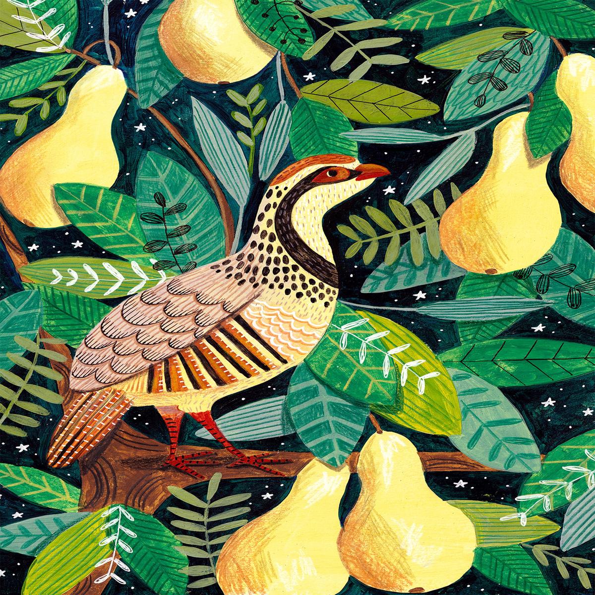 Partridge in a pear tree