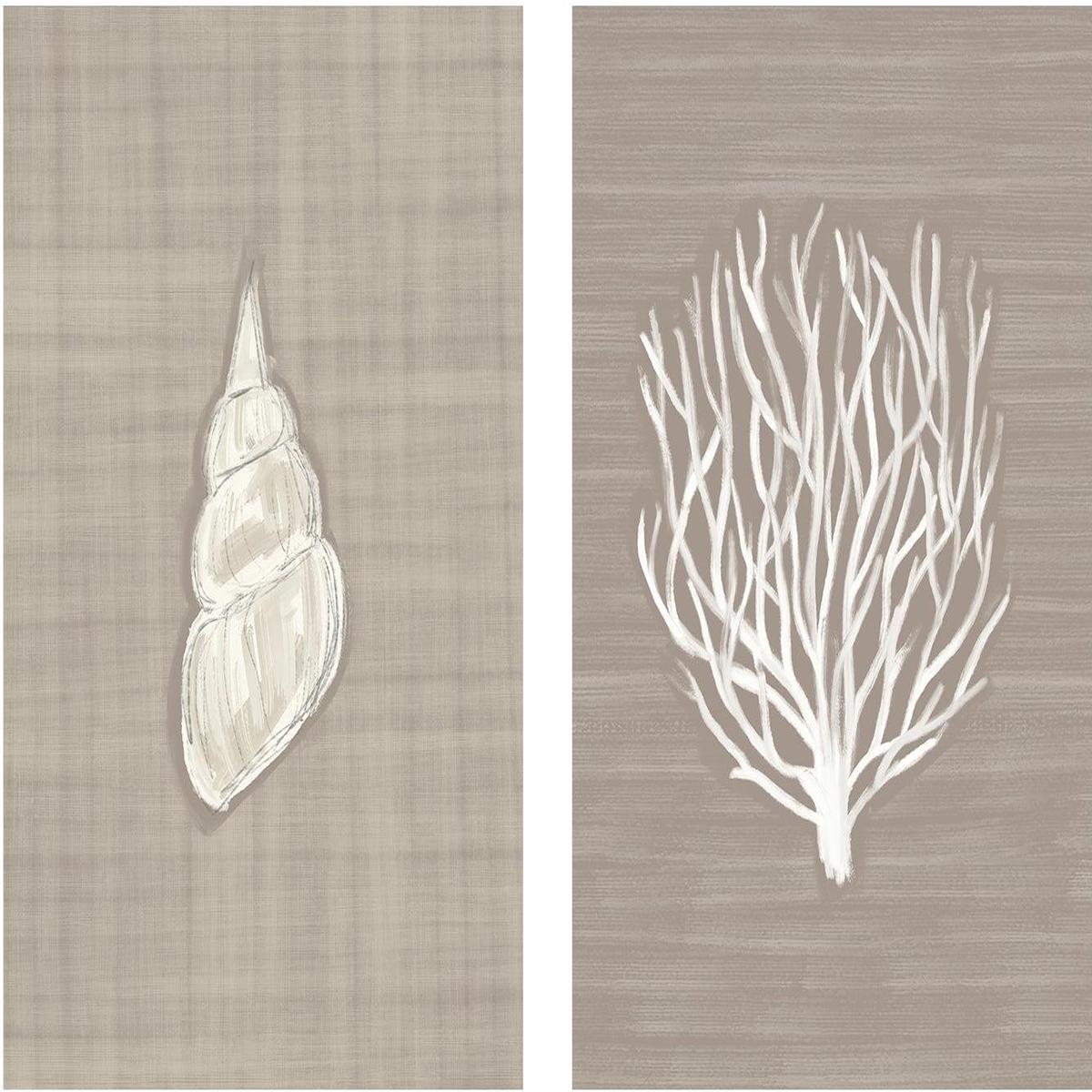 Seashell And Coral Branch , Set Of 2