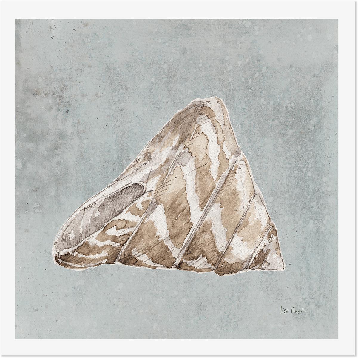 Sand And Seashells, Style A