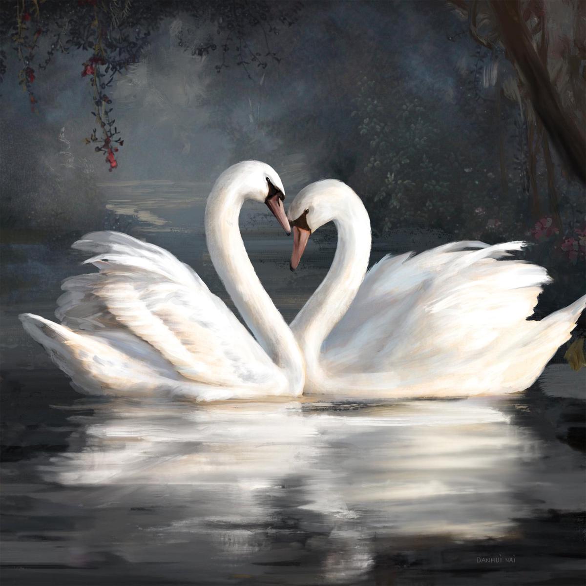 Swan Lake No Flowers