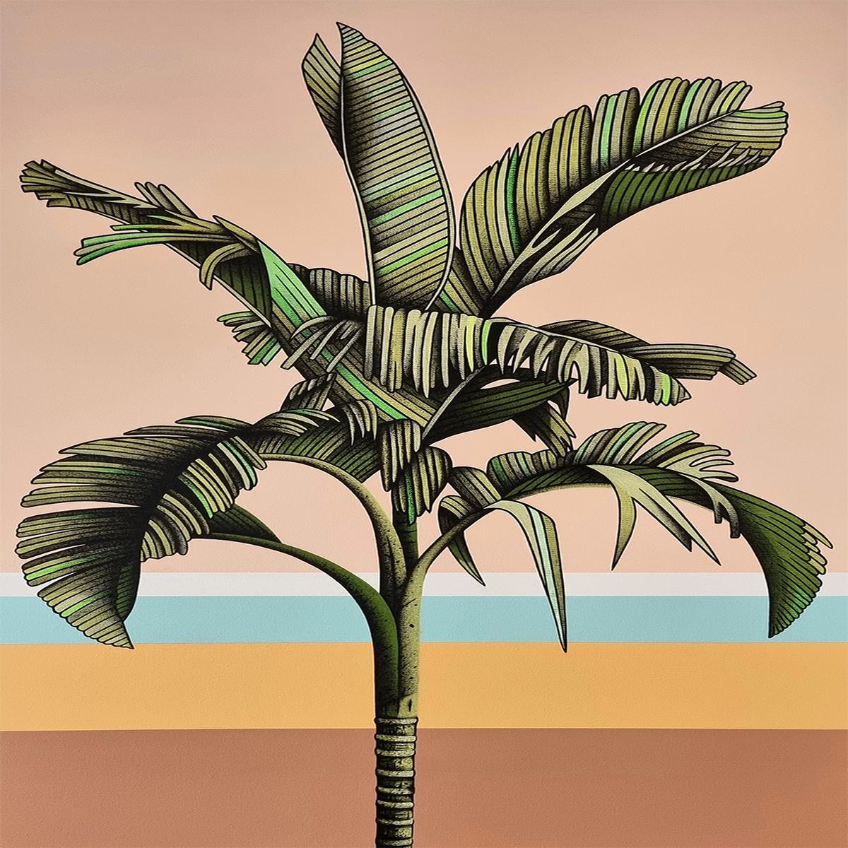 Tropic, Style C