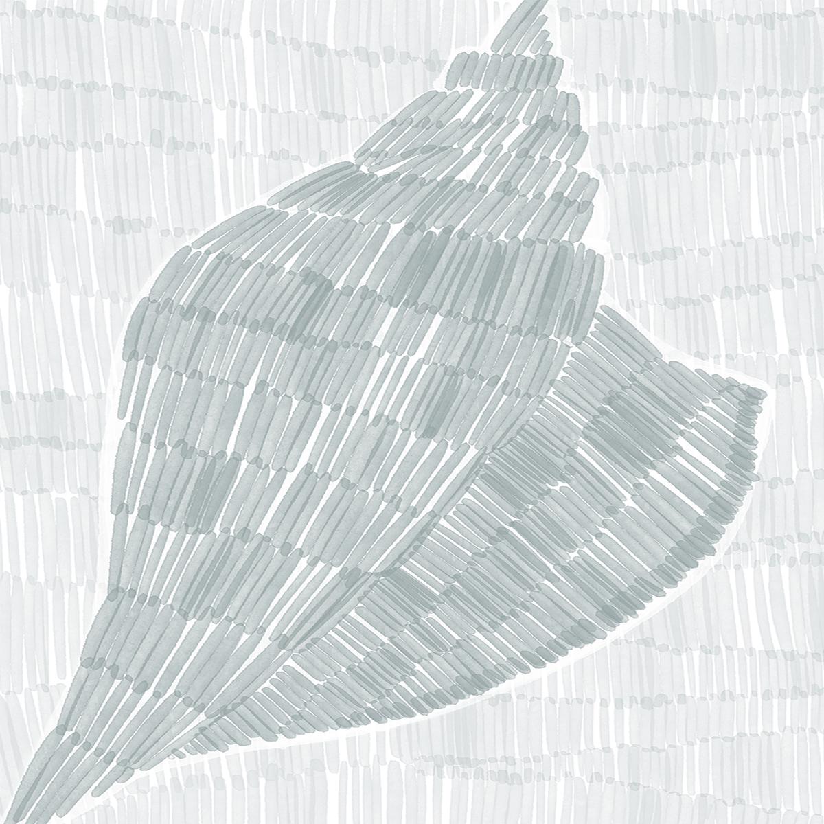 Drifted Conch Shell