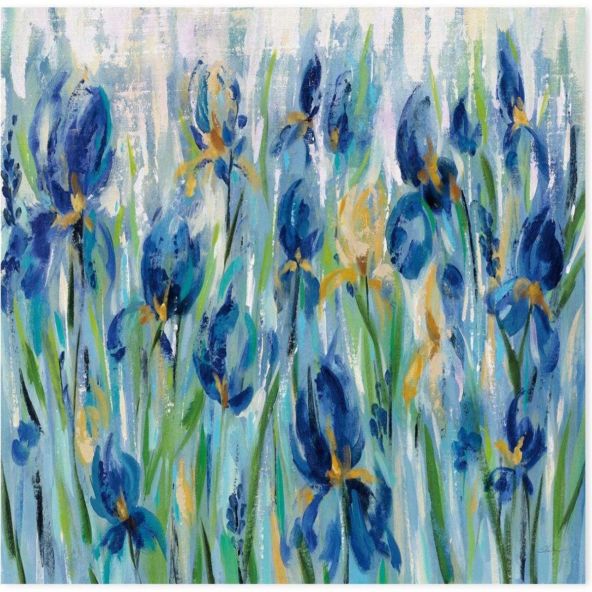Iris Flower Bed