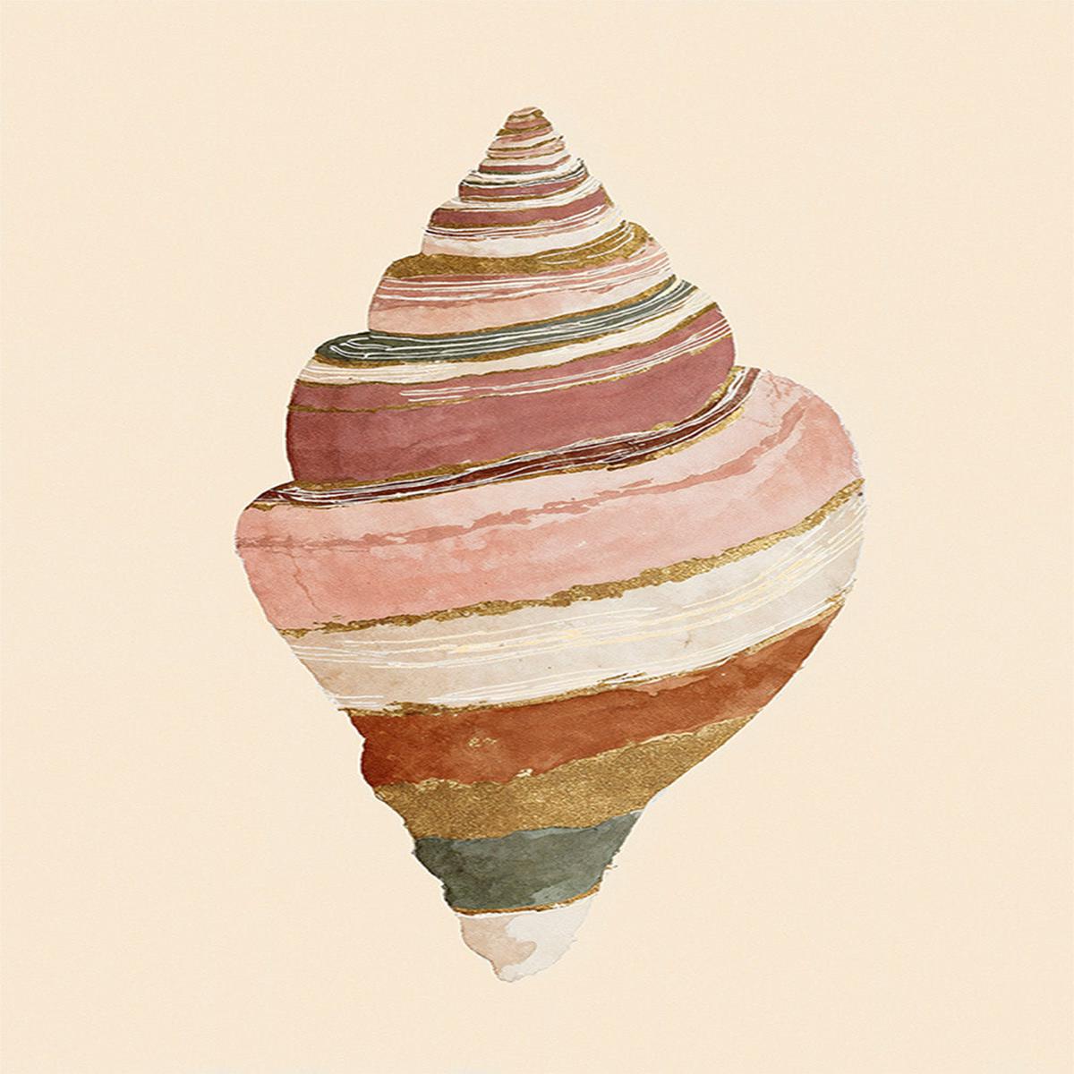 Striped Shell