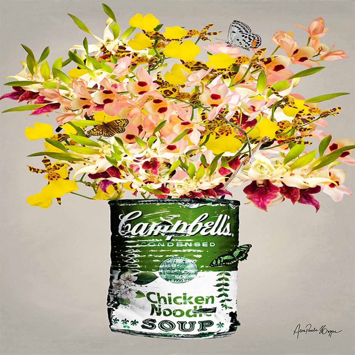 Campbells orchid