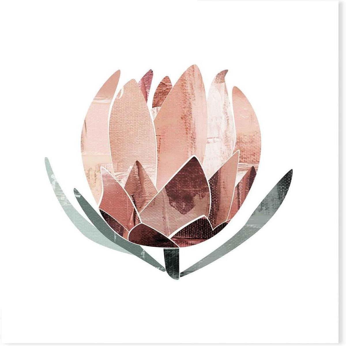 Native Protea