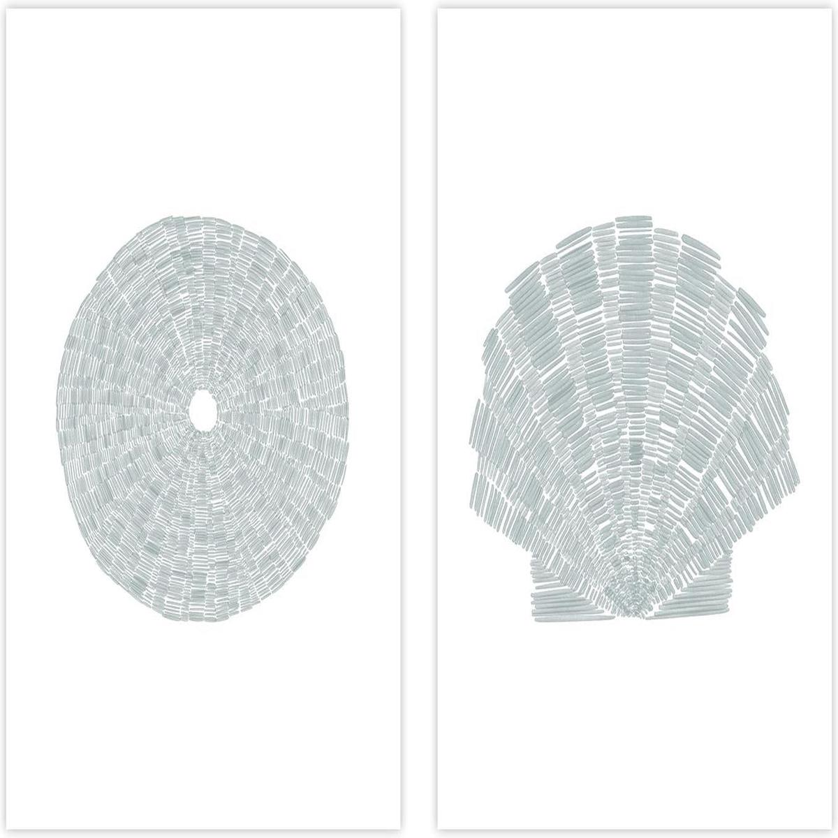 Sea Urchin and Deconstrated Scallop Shell , Set Of 2