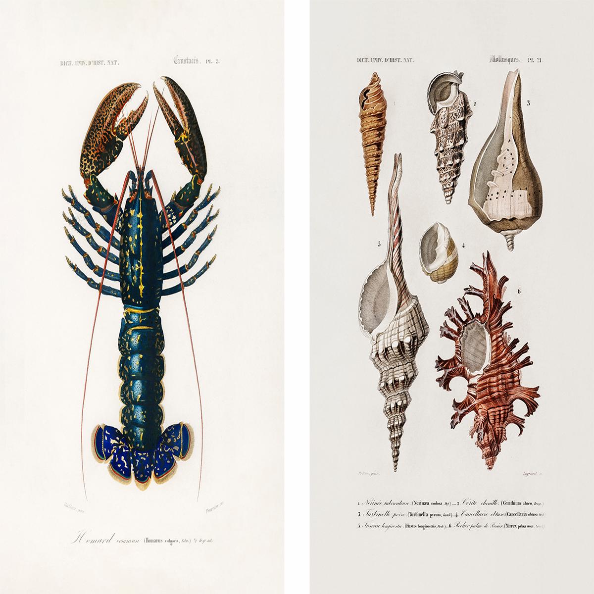 Crimson Crawfish & Sealife, Set Of 2