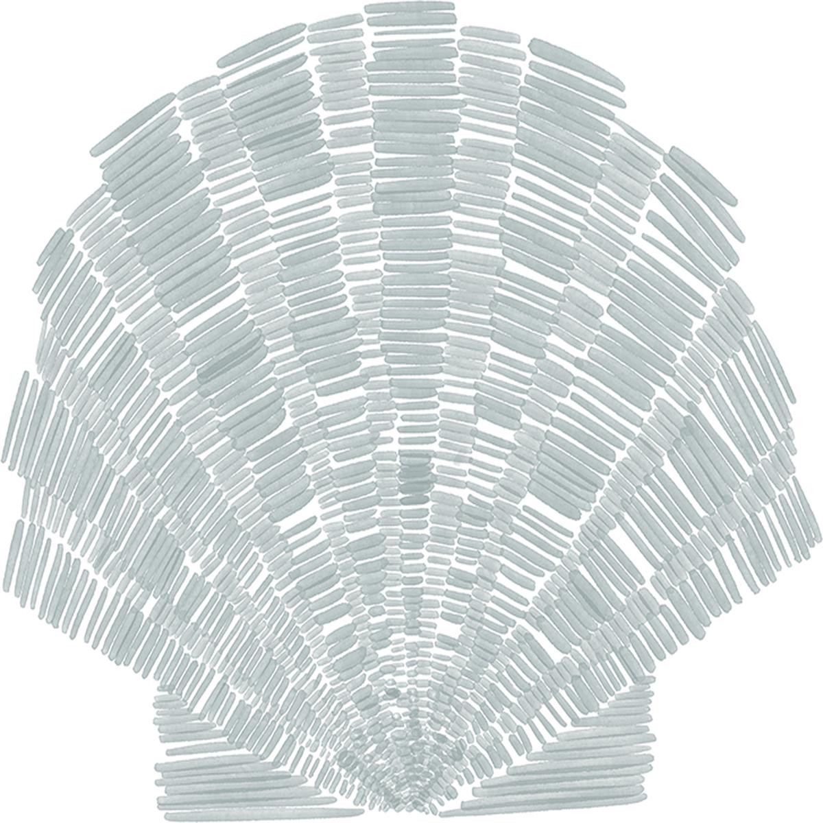 Deconstructed Scallop Shell