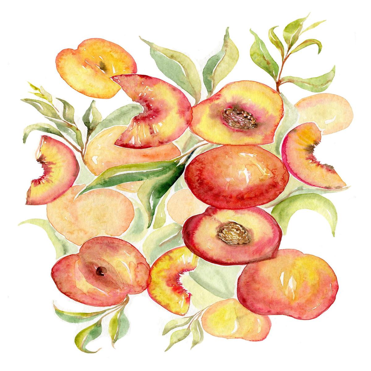 Fruit collection - Peaches