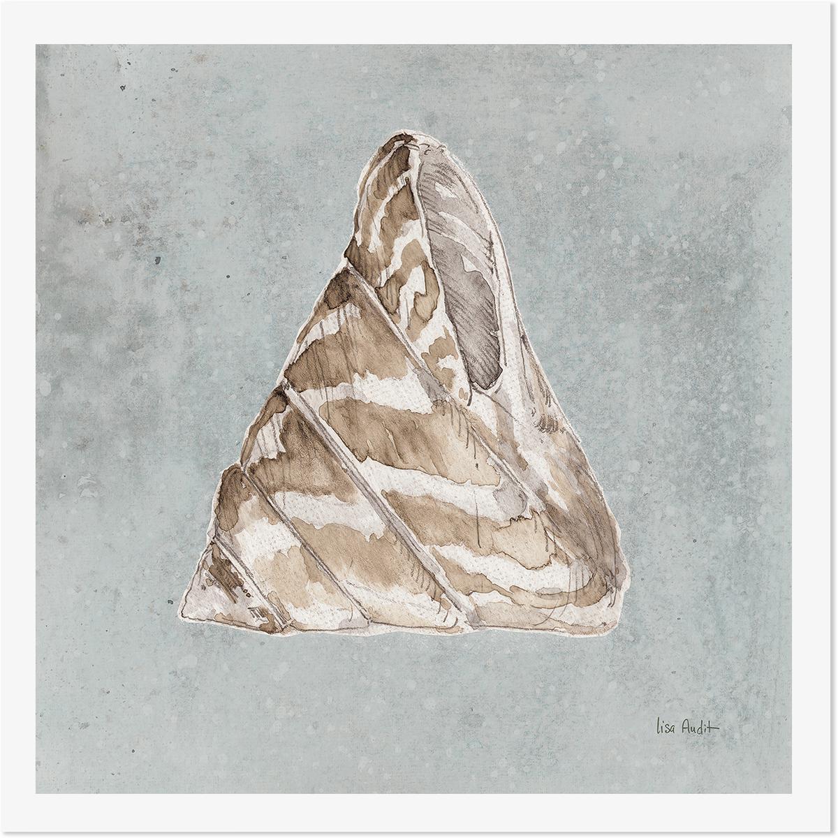Sand And Seashells, Style F