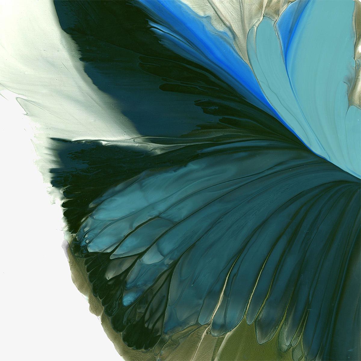 Blue Wings Unfolding in Light