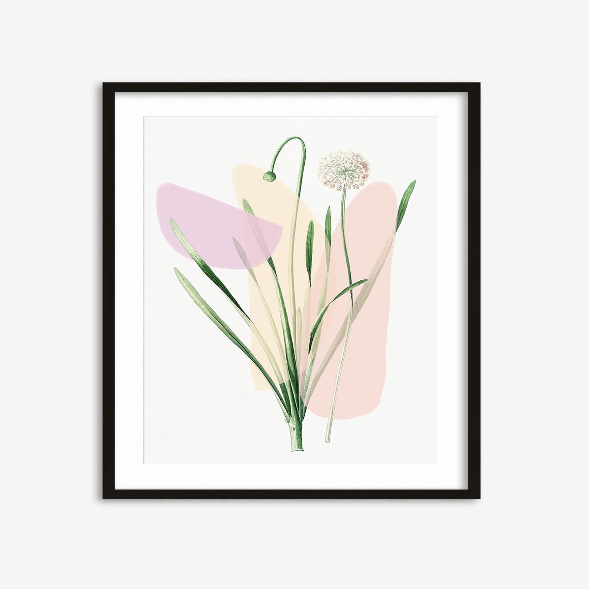 Botanical Vintage Blush Hues Art Print