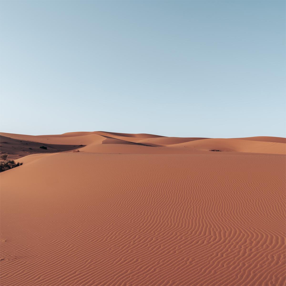 Copper Dunes