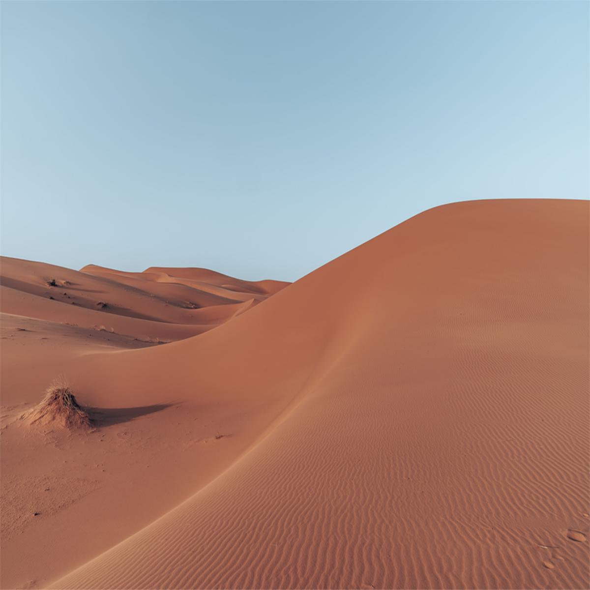 Fiery Dunes