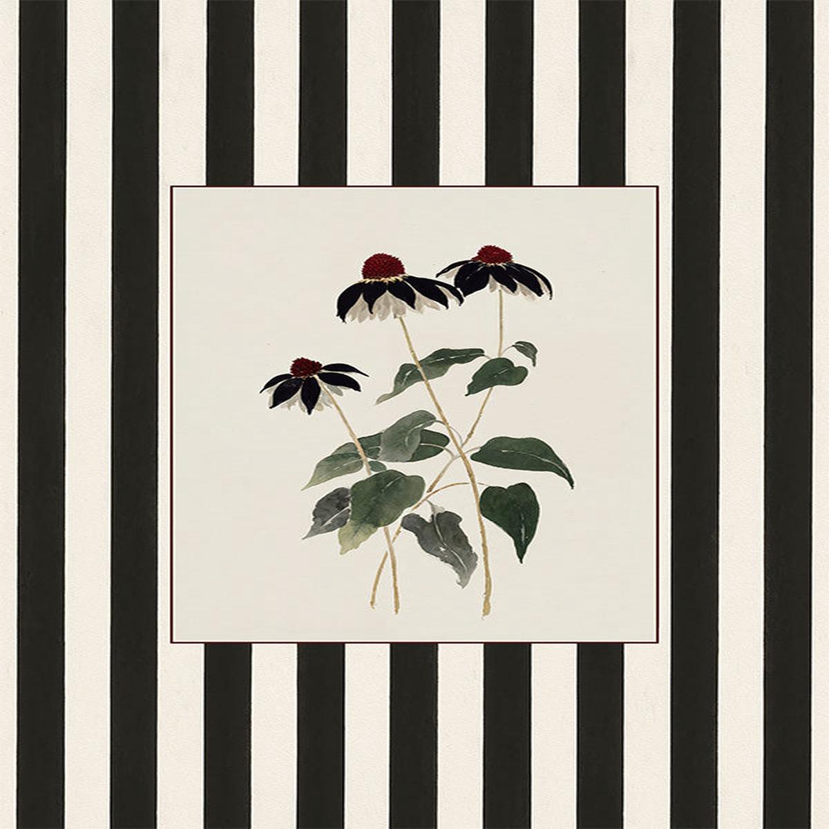 Striped Flower
