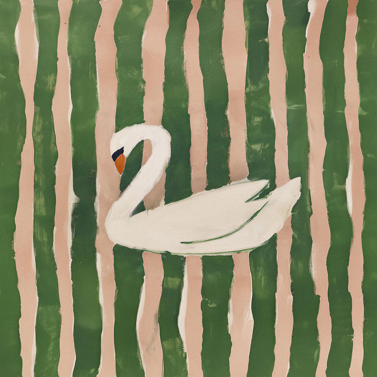 striped swan