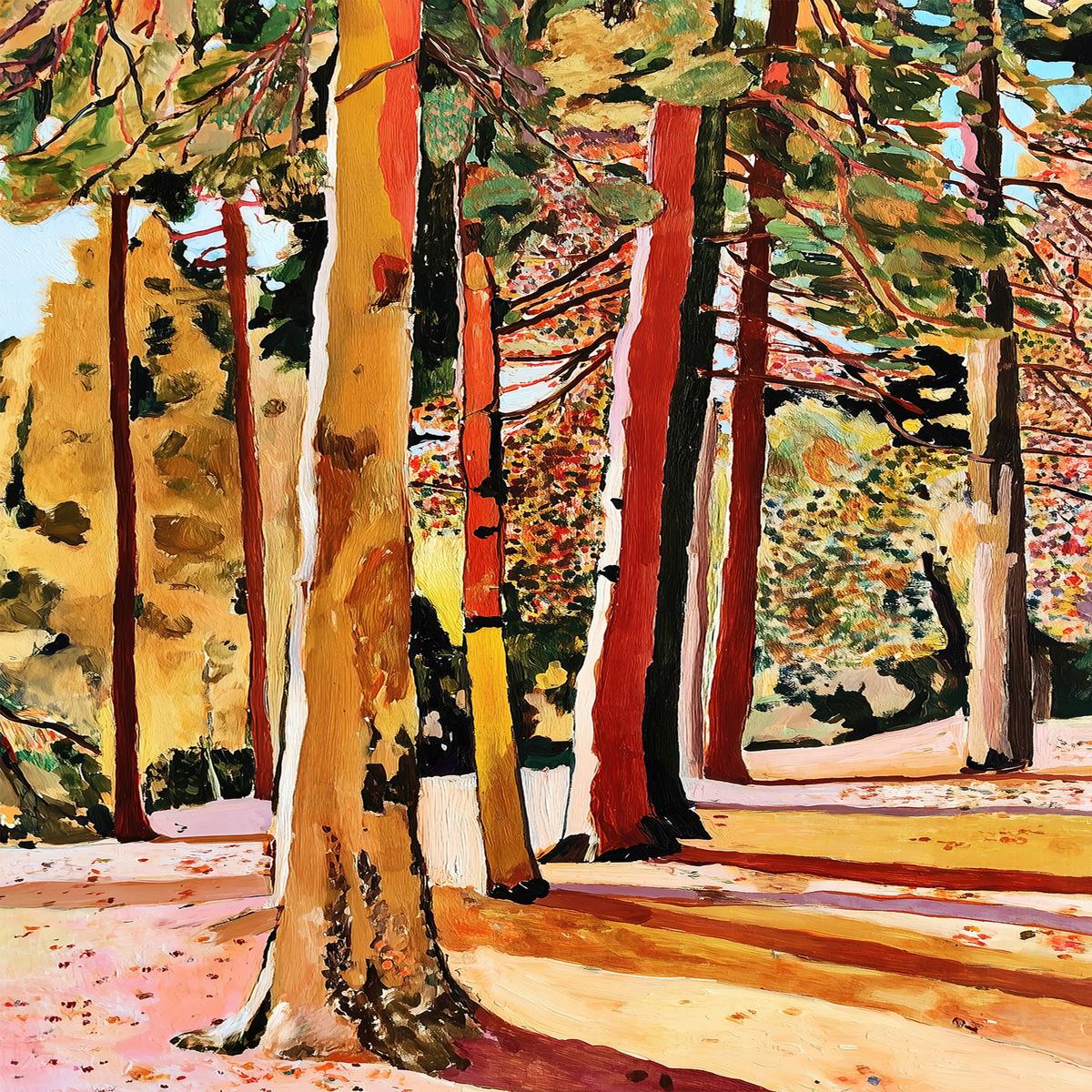 Sunlit Pines