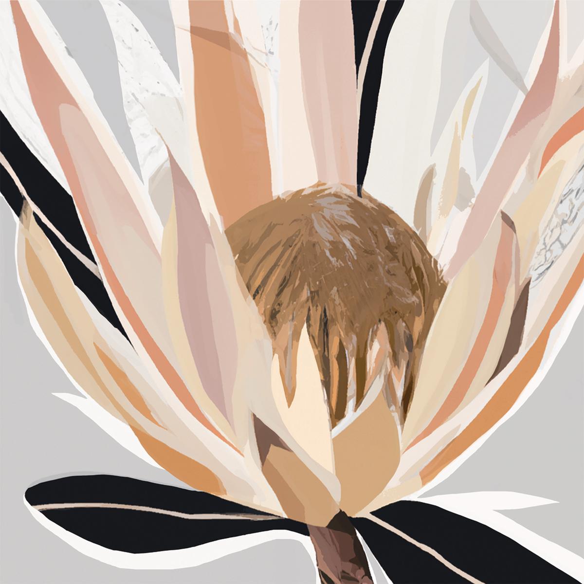 Crema Grey Protea