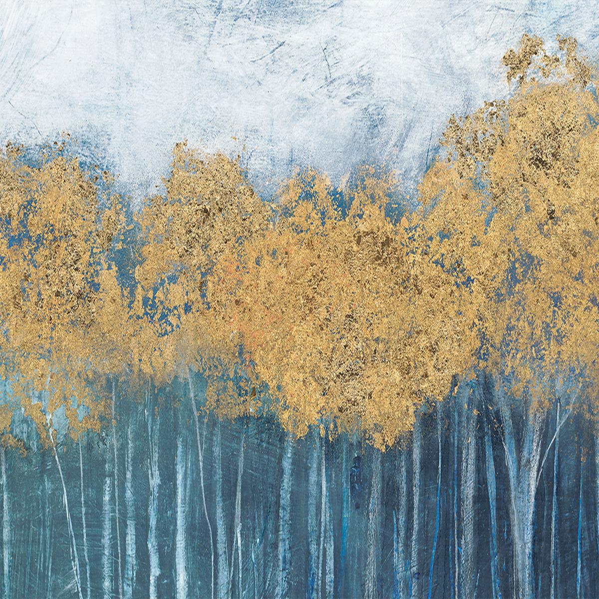 Transitioning Forest
