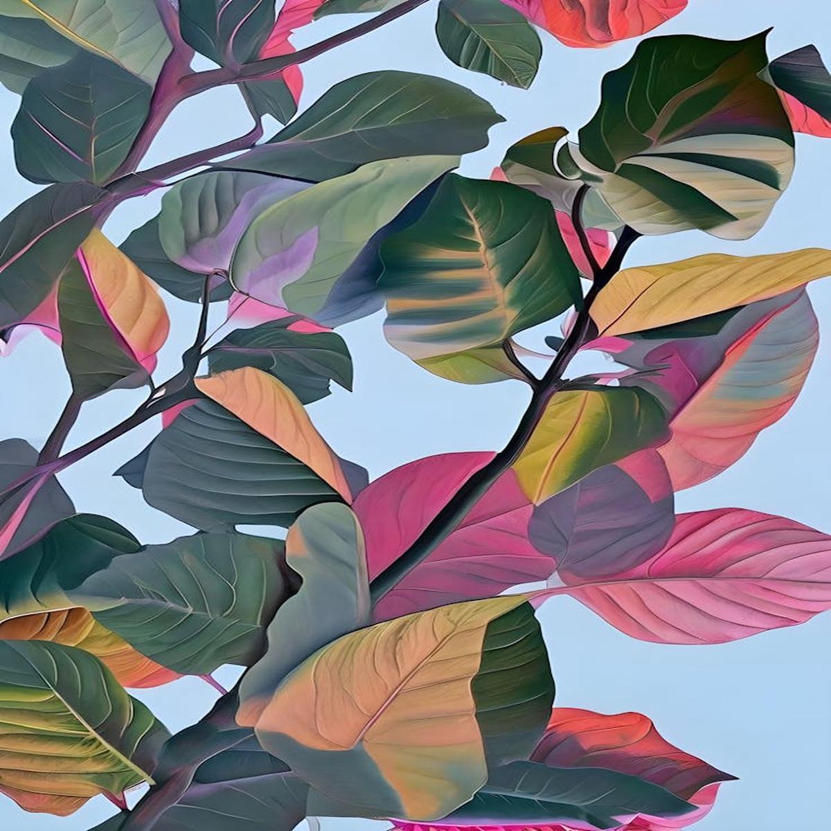 'Blooming Leaves'