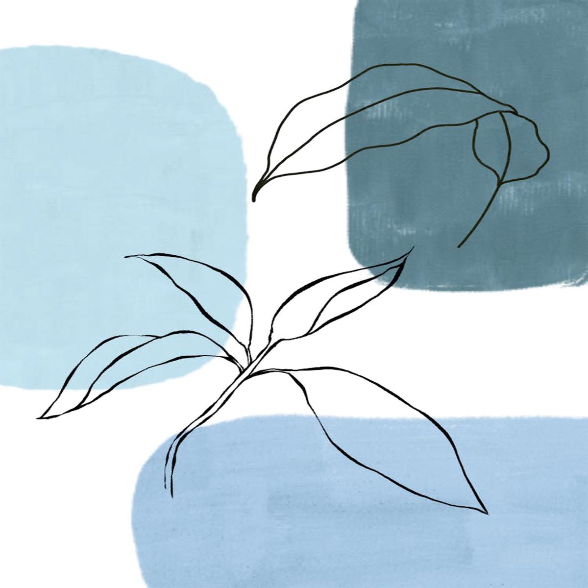 'Blue Leaf'