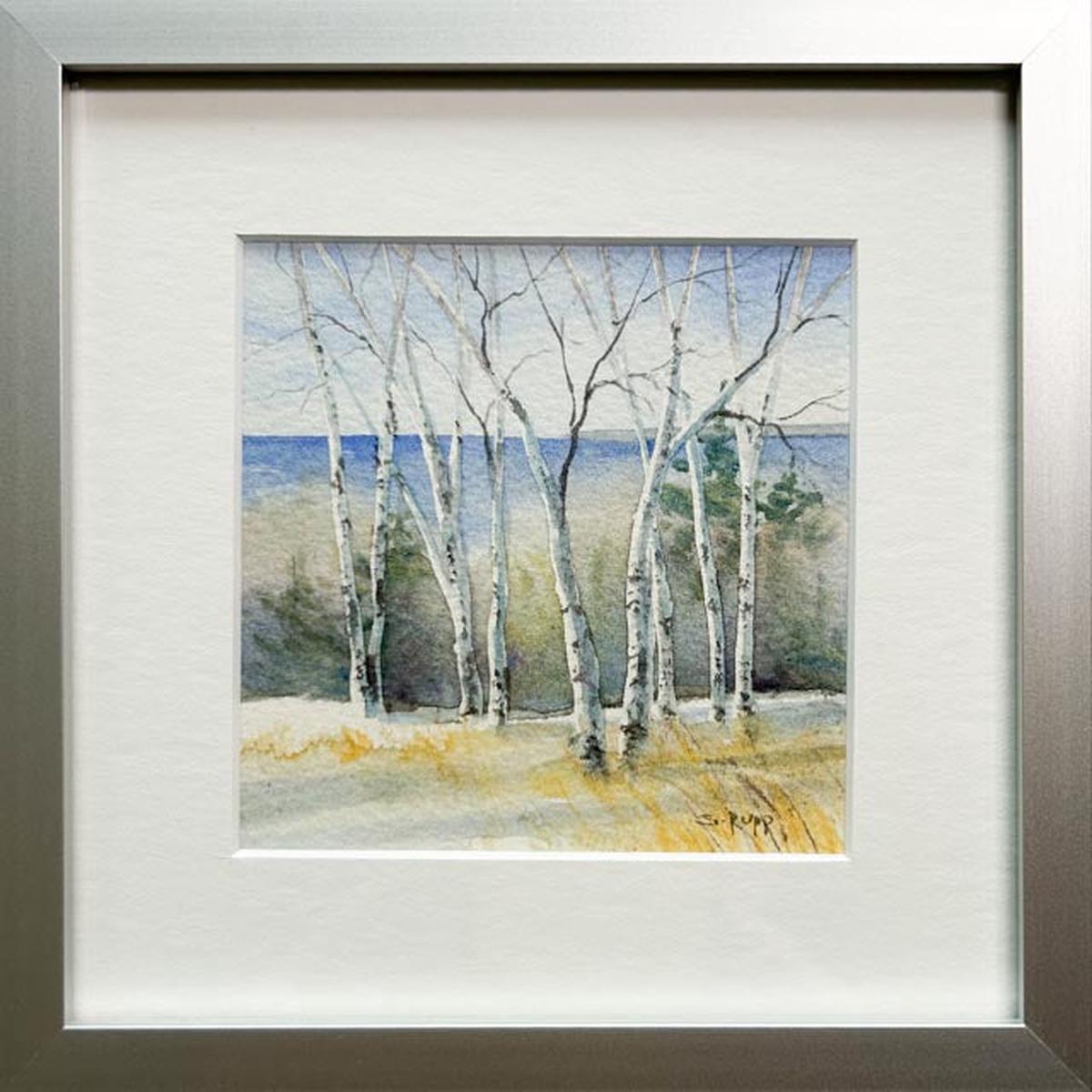 Winter Birches #11