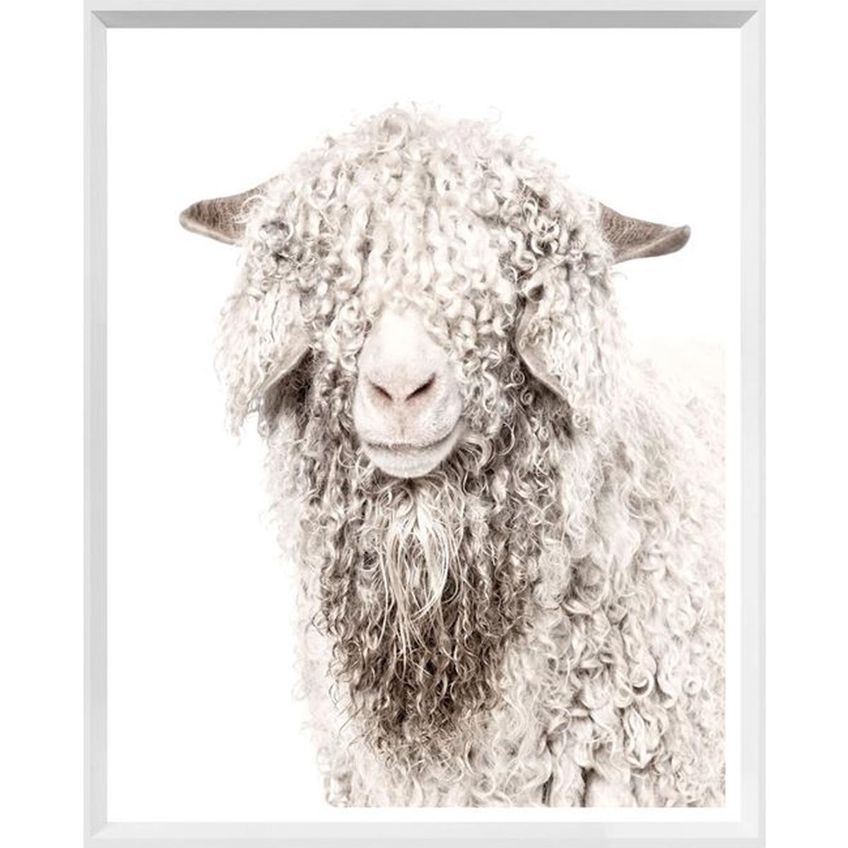 Angora Goat - White | Large