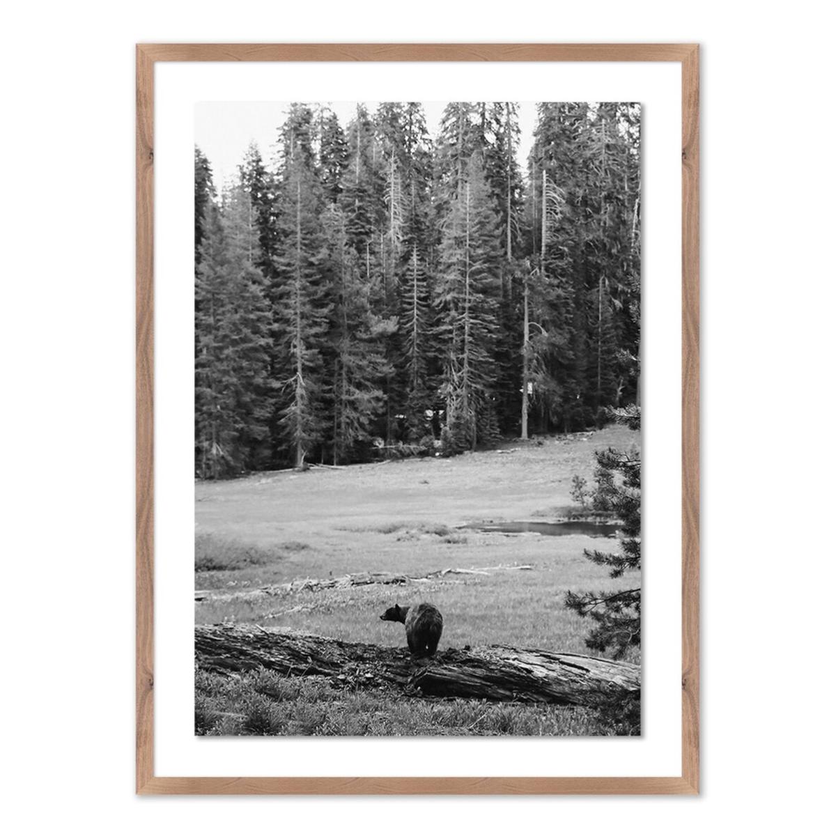 Don't Feed The Bears w/Rustic Walnut Frame - 30" x 40"