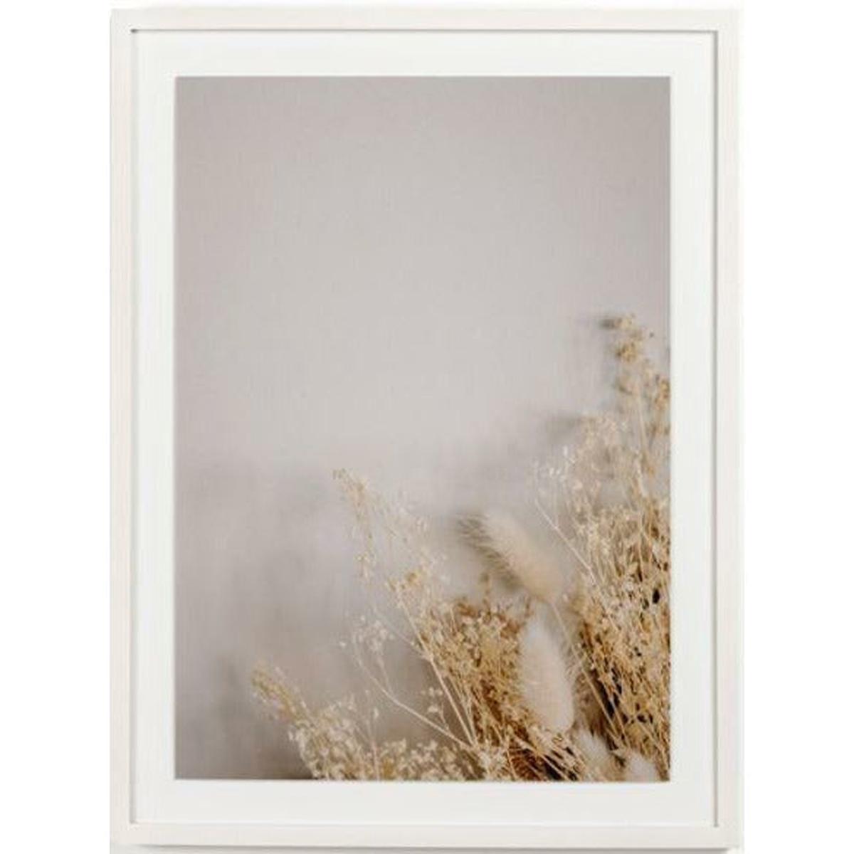 Dried Floral By Annie Spratt - Art
