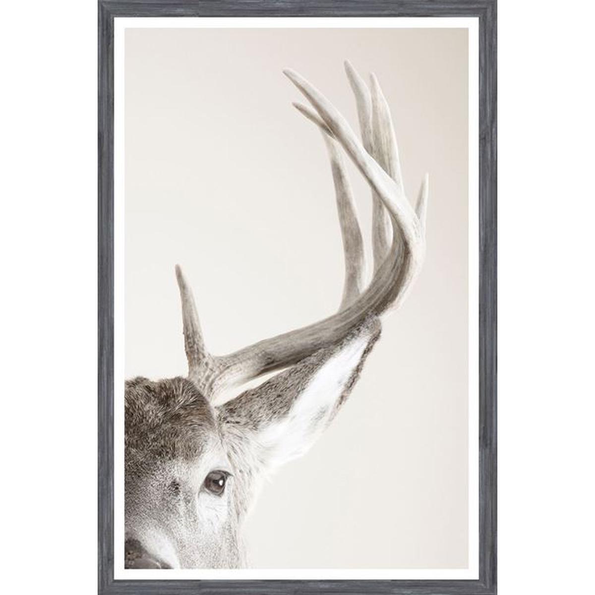 Focused Regard - Grey | Large