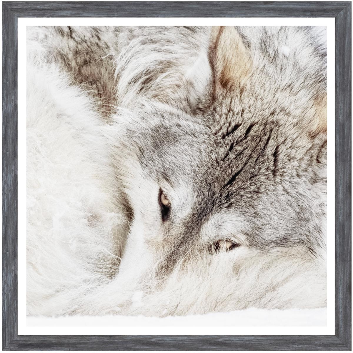 Grey Wolf Art - Grey Frame | Large
