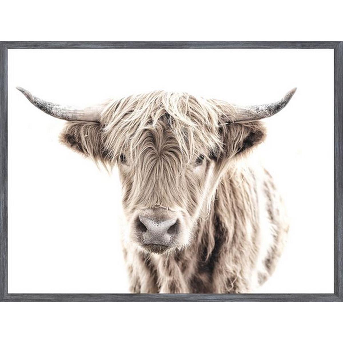 Highland Cow - Grey | Mini