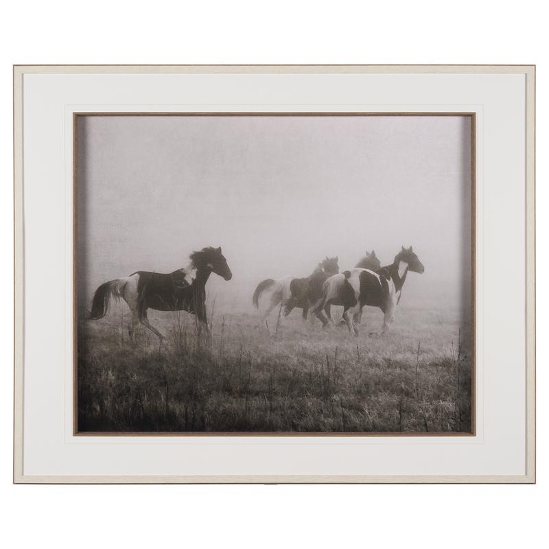 Horses on the Run
