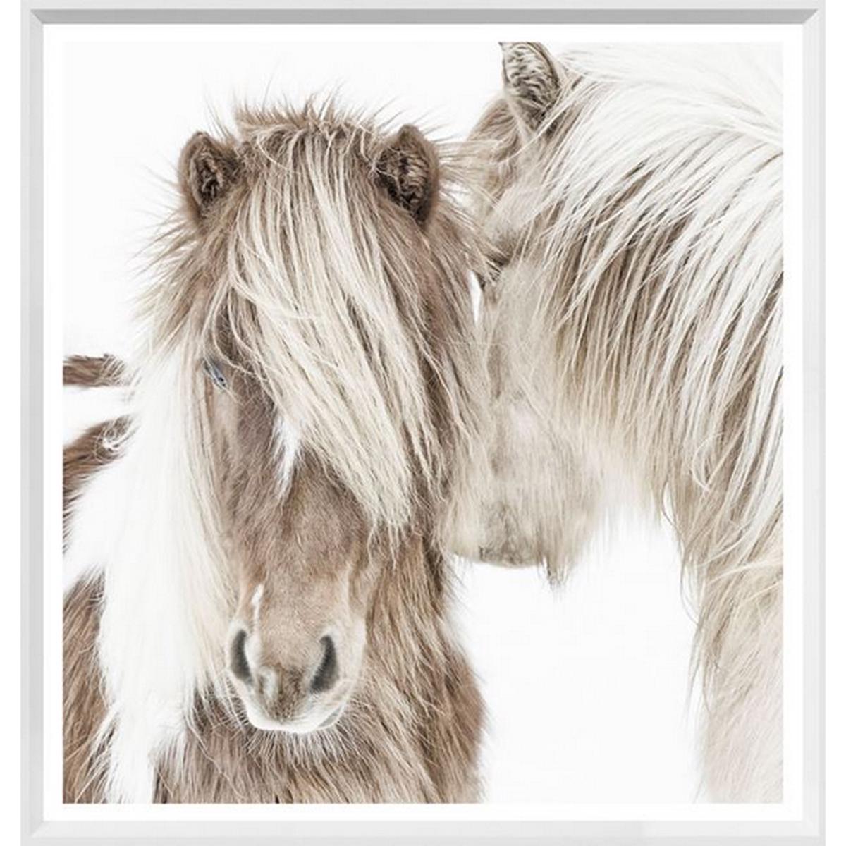 Icelandic Ponies - White | Mini