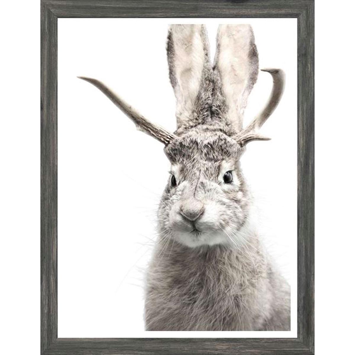 Jackalope - Grey | Mini