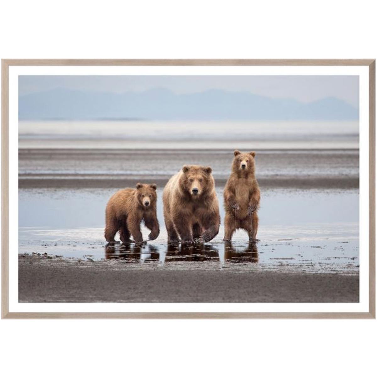 Natural Bear Family - Small