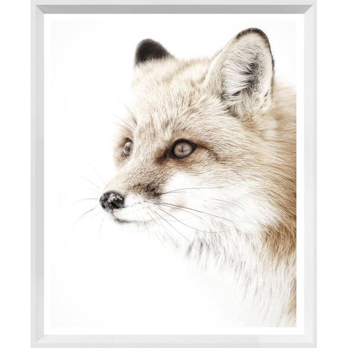Red Fox - White | Mini